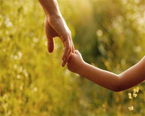 福州黑市买卵子做试管有多危险？健康和法律双重雷区